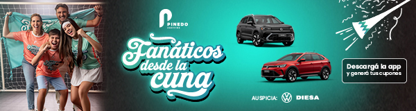 Pinedo Shopping  (web y mobile)